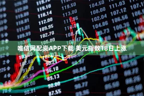 唯信网配资APP下载 美元指数18日上涨